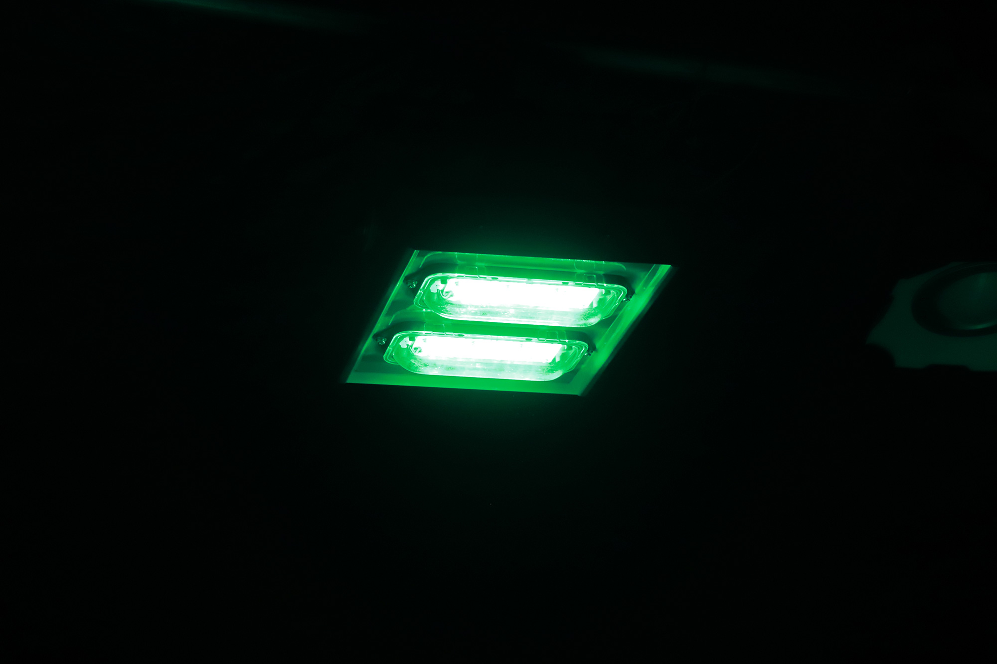 LED照明によるマコガレイの質的向上 | LED Lighting | Stanley Electric Co., Ltd.